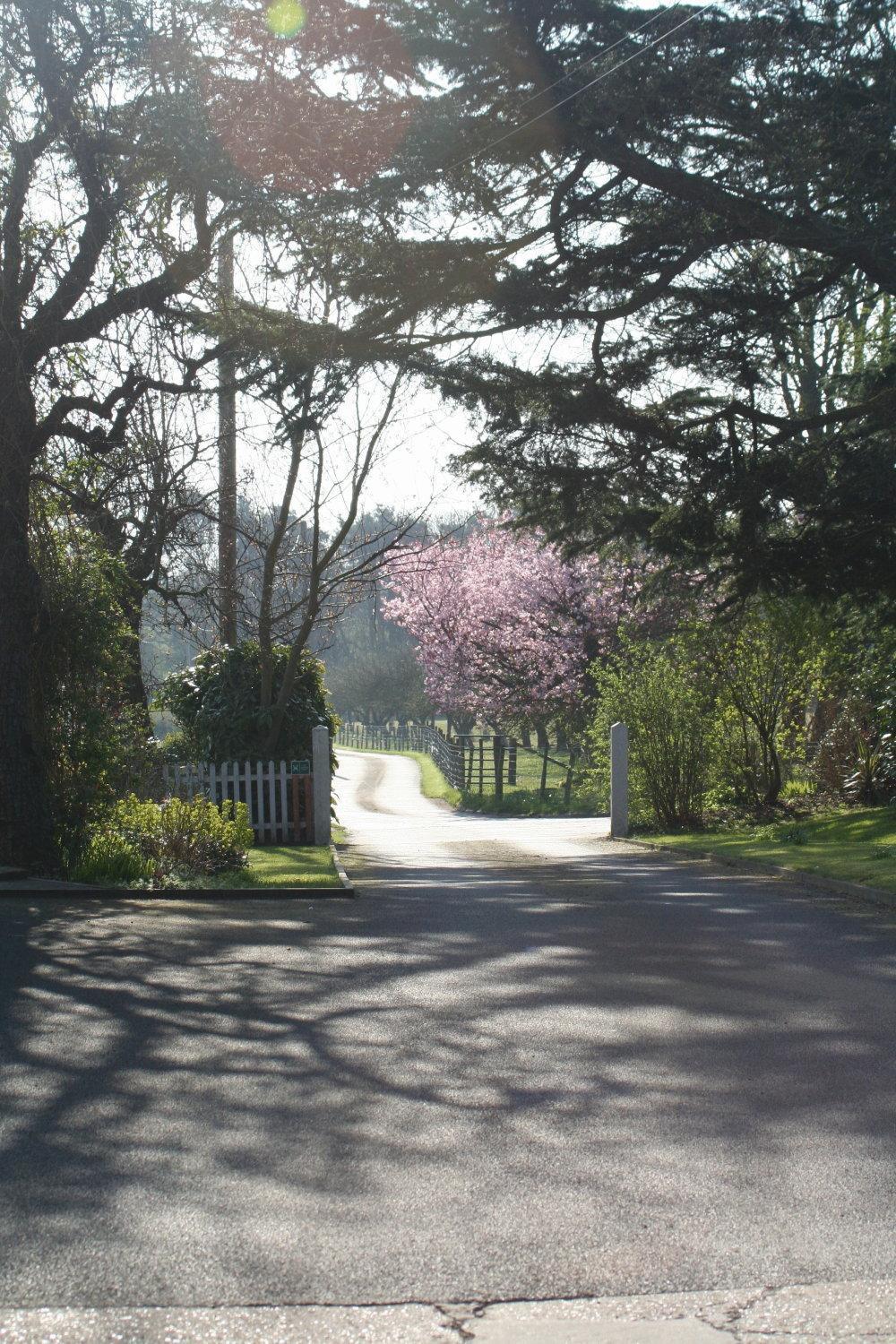 Ingon Bank Farm Bed And Breakfast Στράτφορντ απόν Έιβον Εξωτερικό φωτογραφία